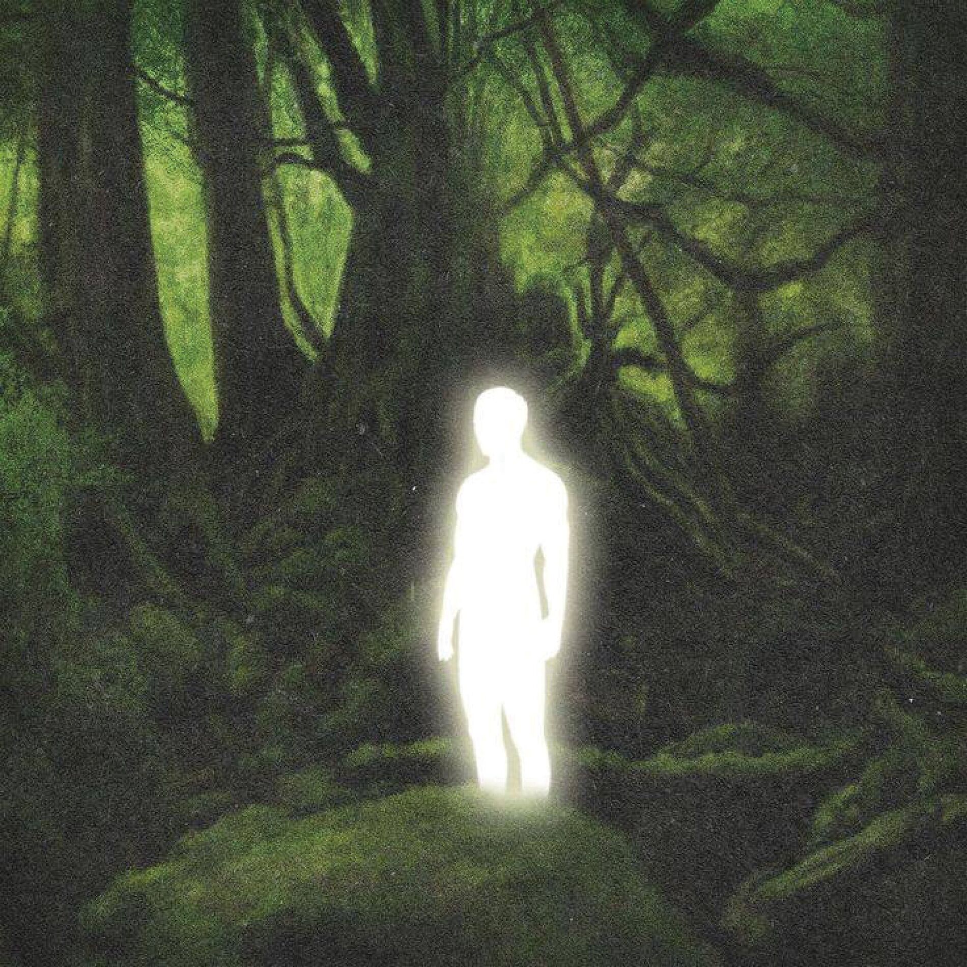 Album cover of Heal Kat Hutan