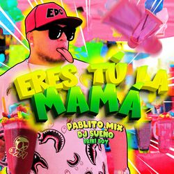 Cover of Eres Tu La Mamá