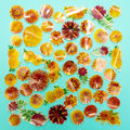 Marigold