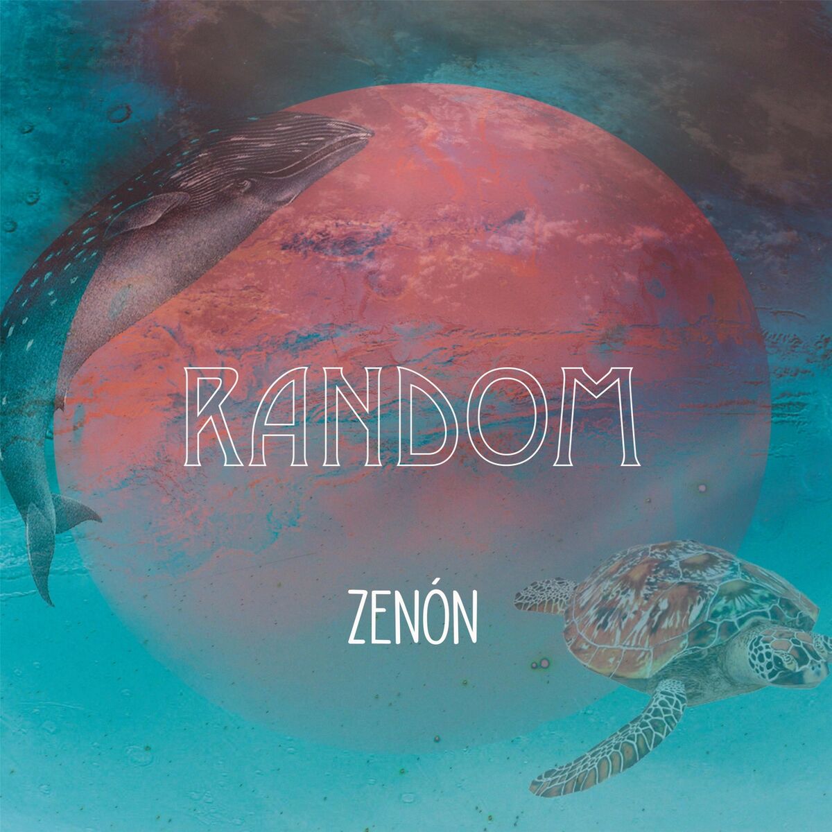 Album cover of Random
