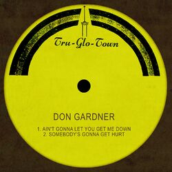 Cover of Ain't Gonna Let You Get Me Down