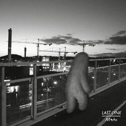 Cover of Curtains