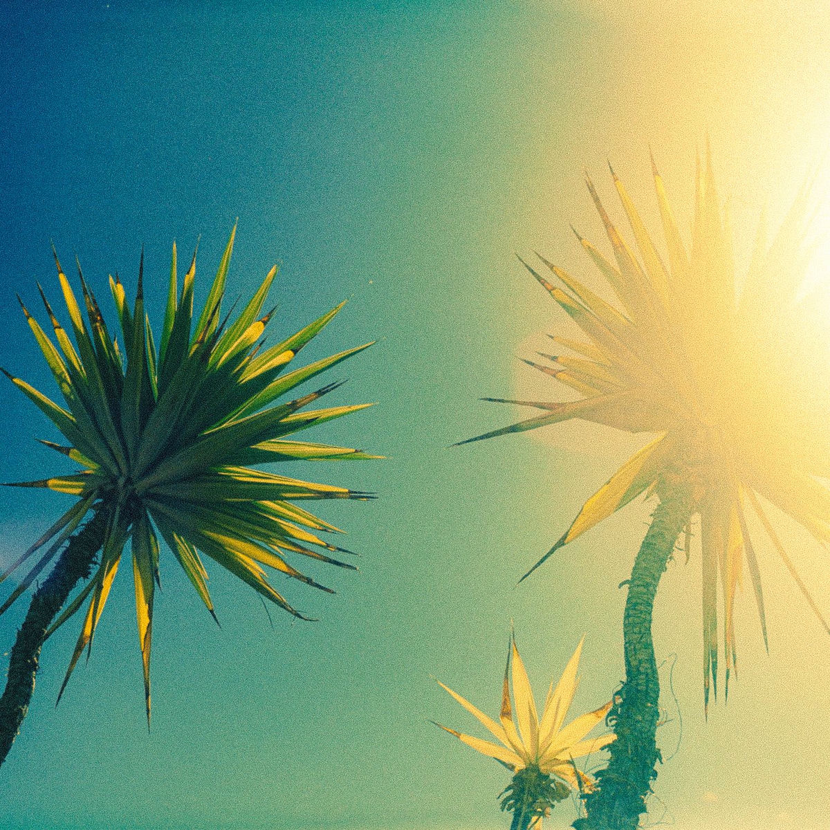Album cover of Solana