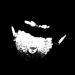 Cover of Teen X