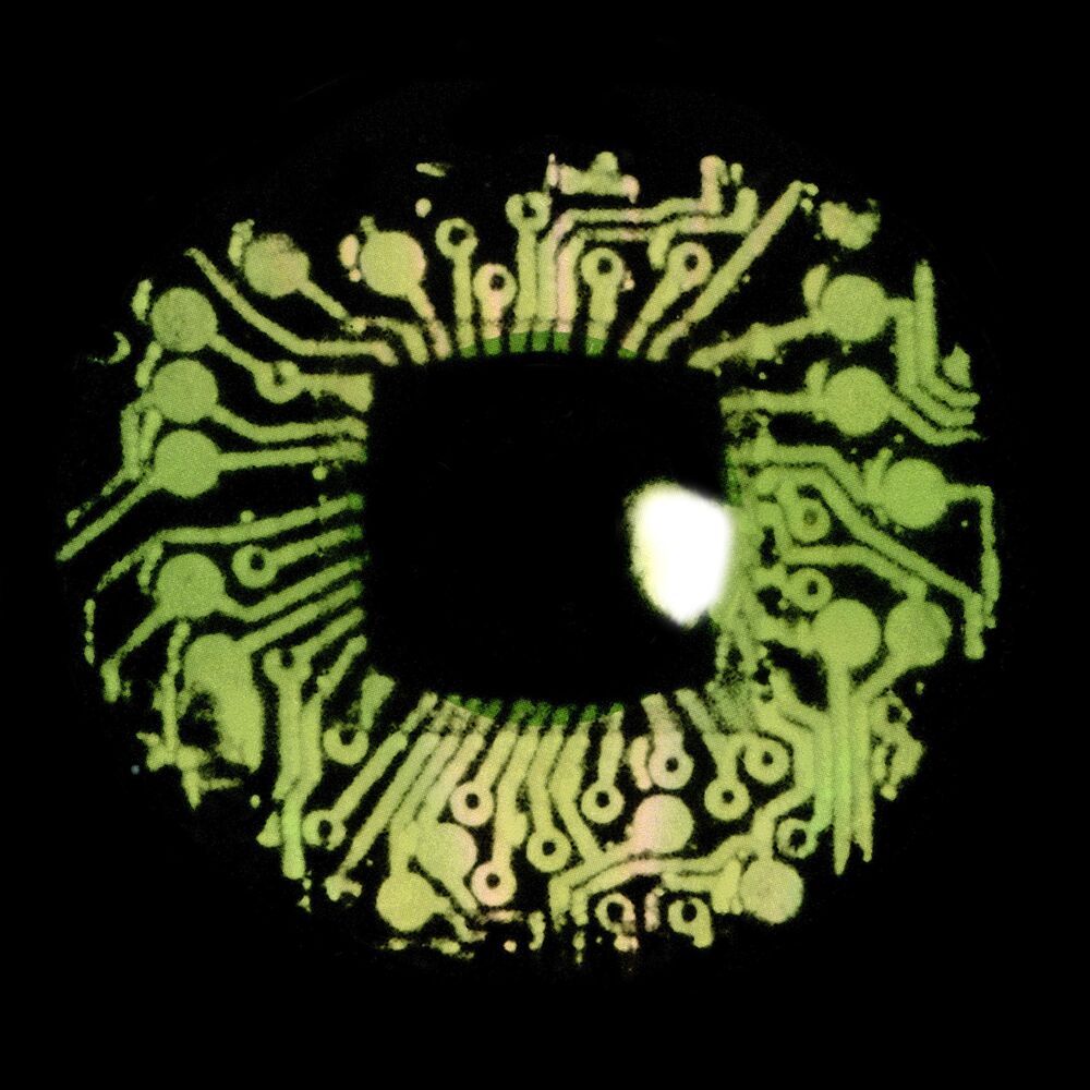 Picture of Dead Eyes Reopened