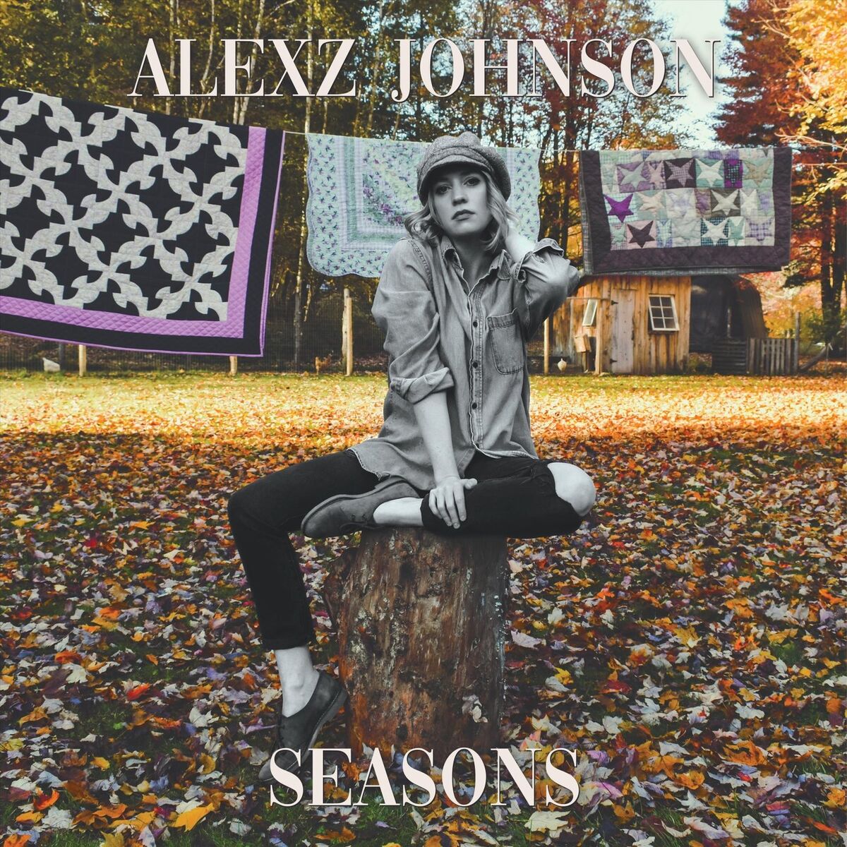 Album cover of Seasons