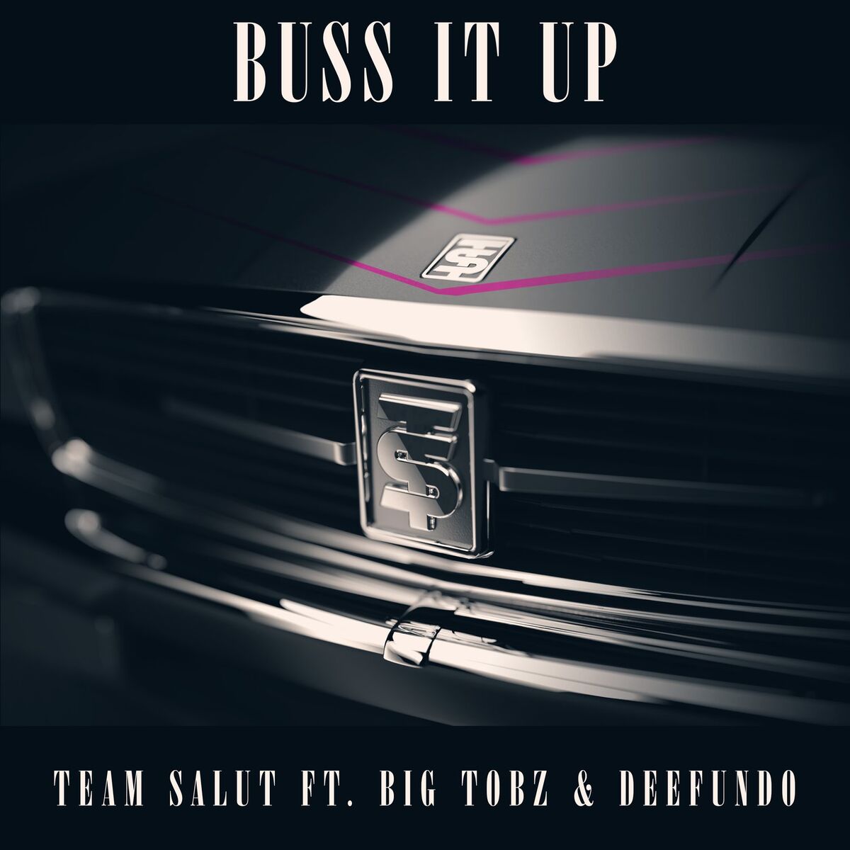 Album cover of Buss It Up