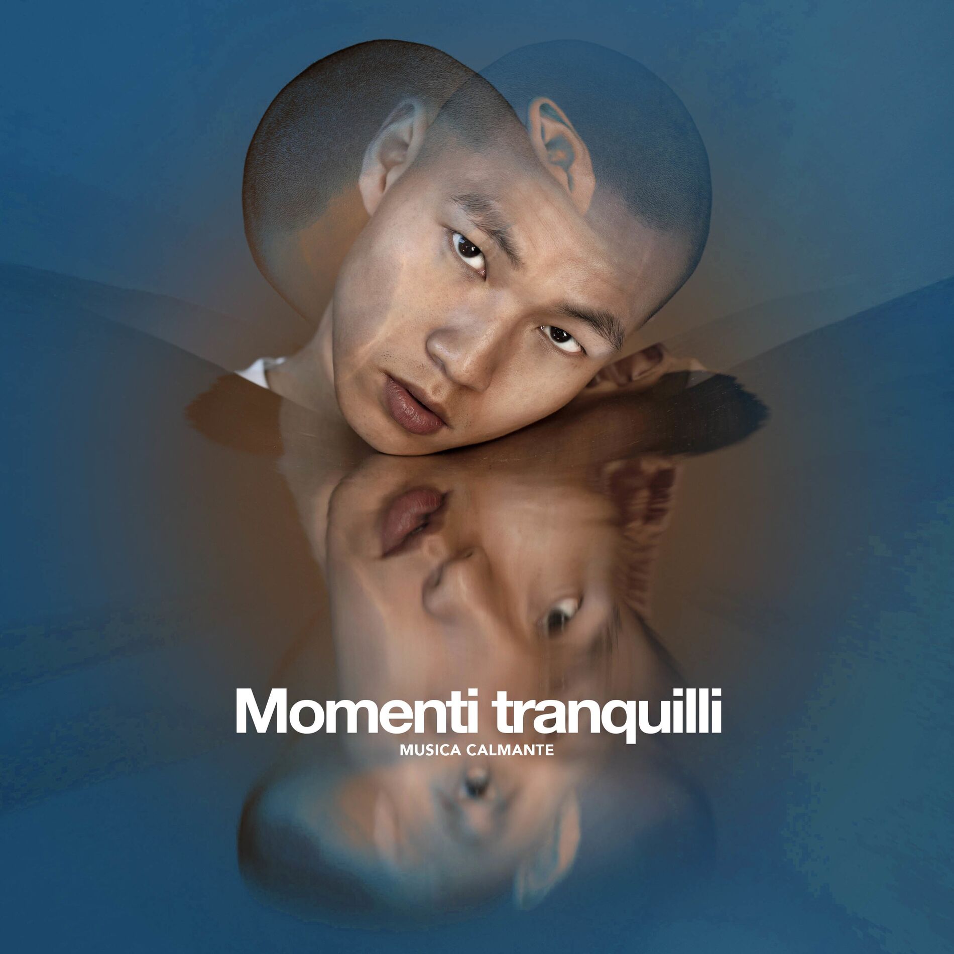 Album cover of Momenti tranquilli