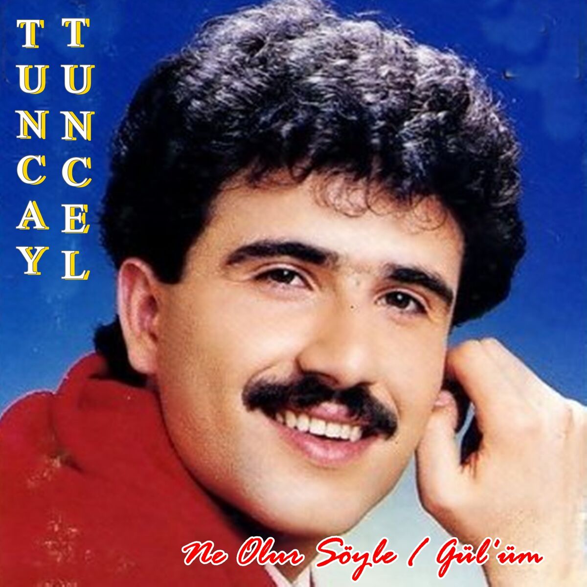 Album cover of Ne Olur Söyle / Gül'üm