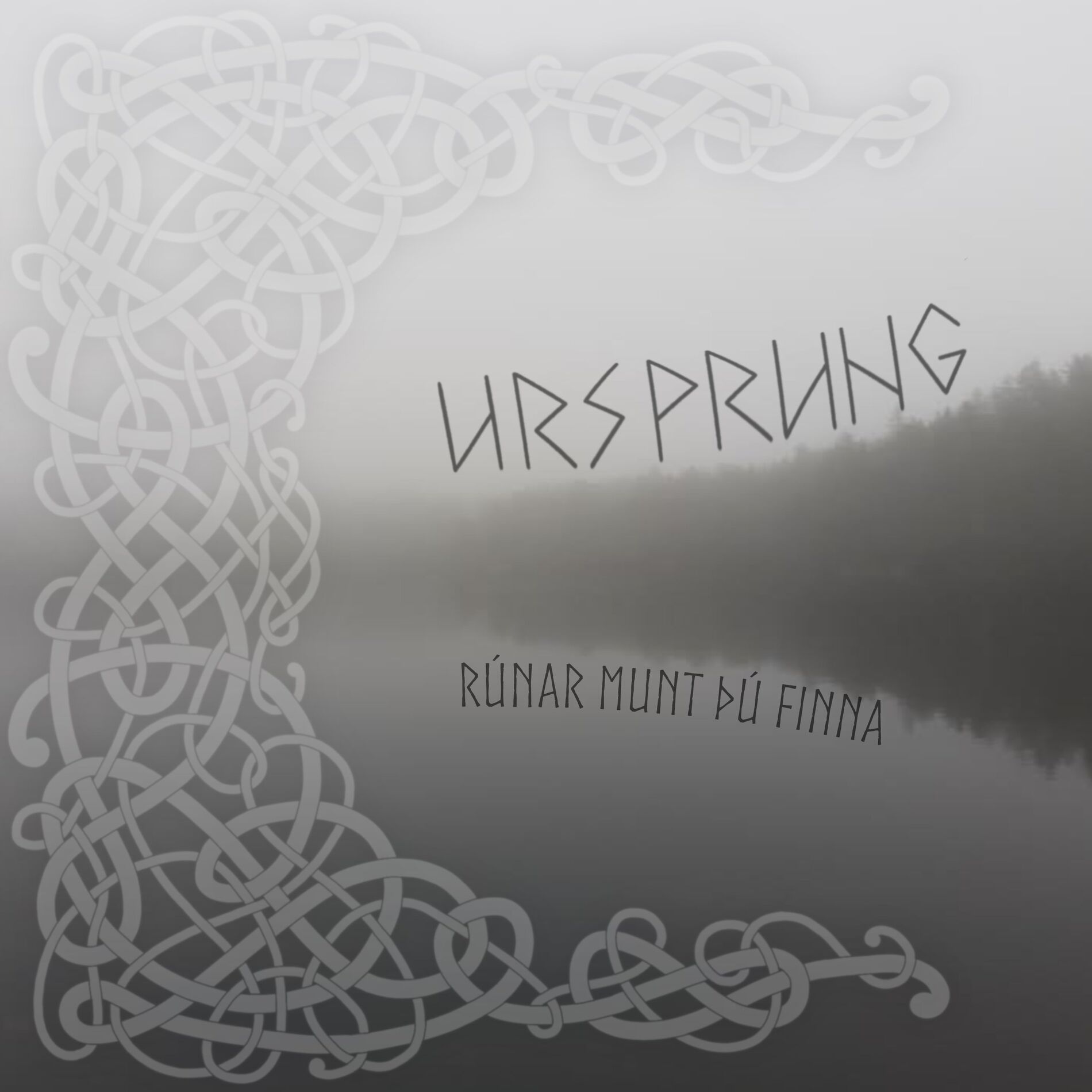 Album cover of Rúnar Munt þú Finna