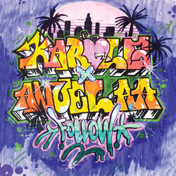Cover of Follow