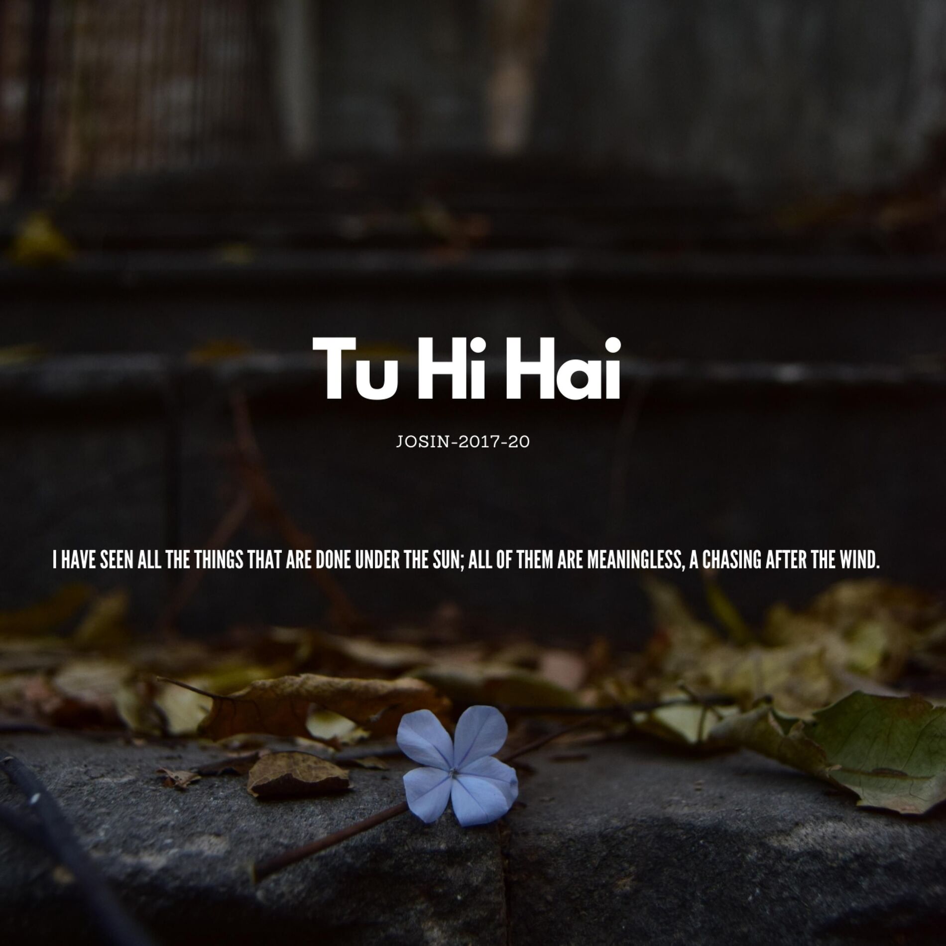Album cover of Tu Hi Hai
