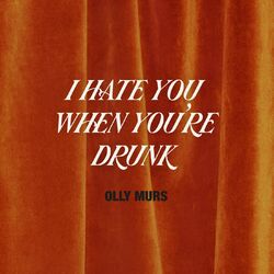 Cover of I Hate You When You're Drunk