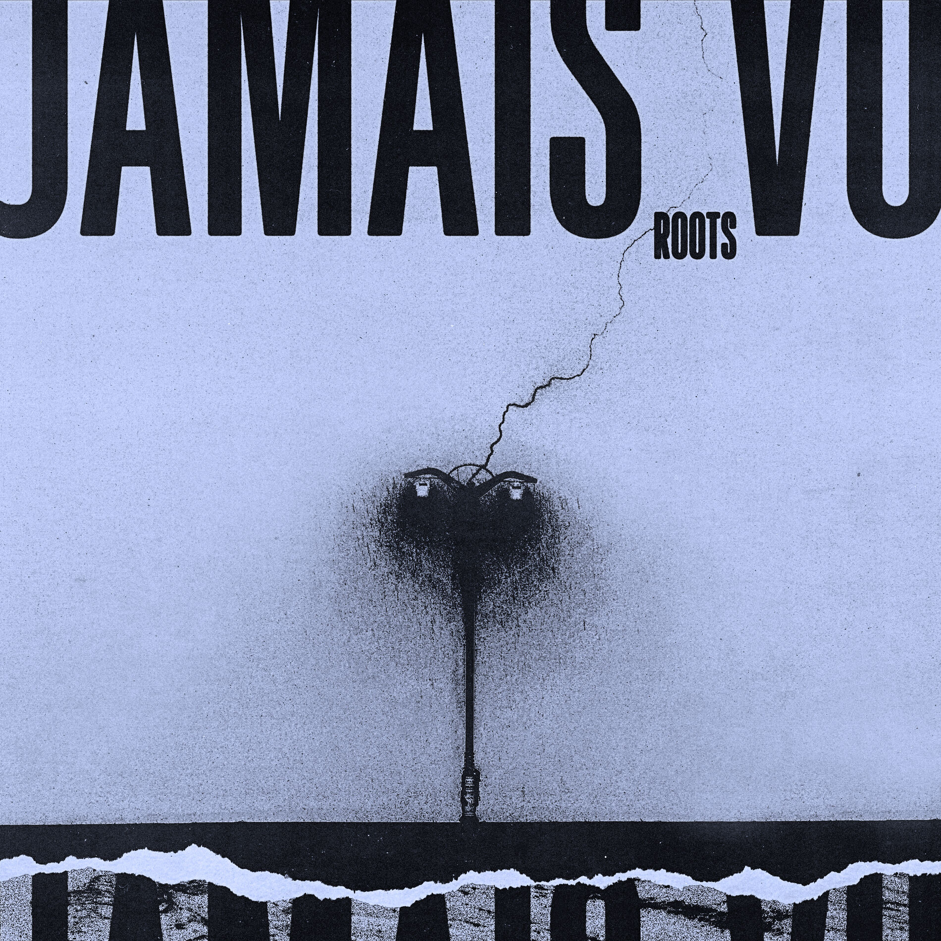 Album cover of JAMAIS VU