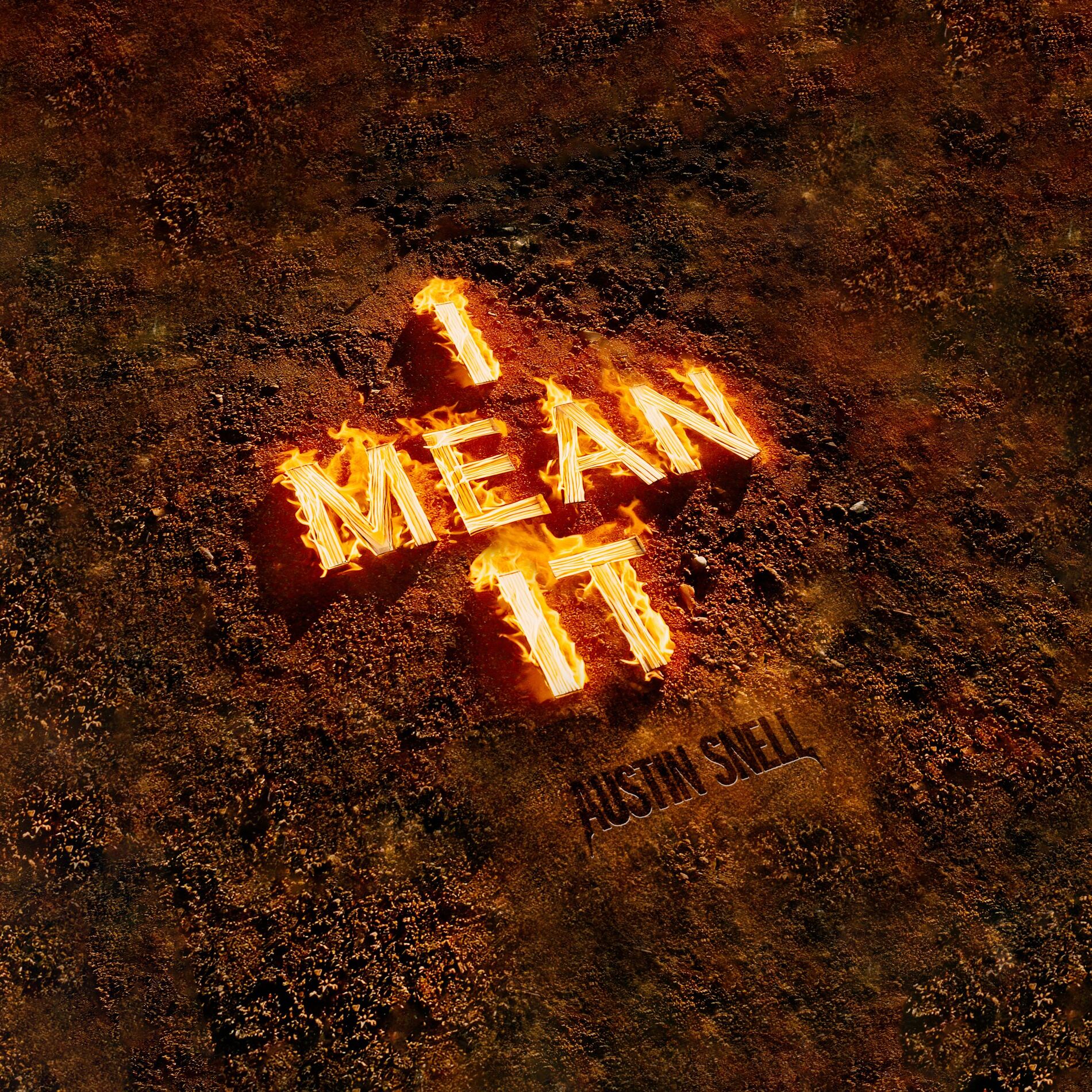 Album cover of I Mean It