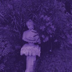 Cover of Rey Ahogado