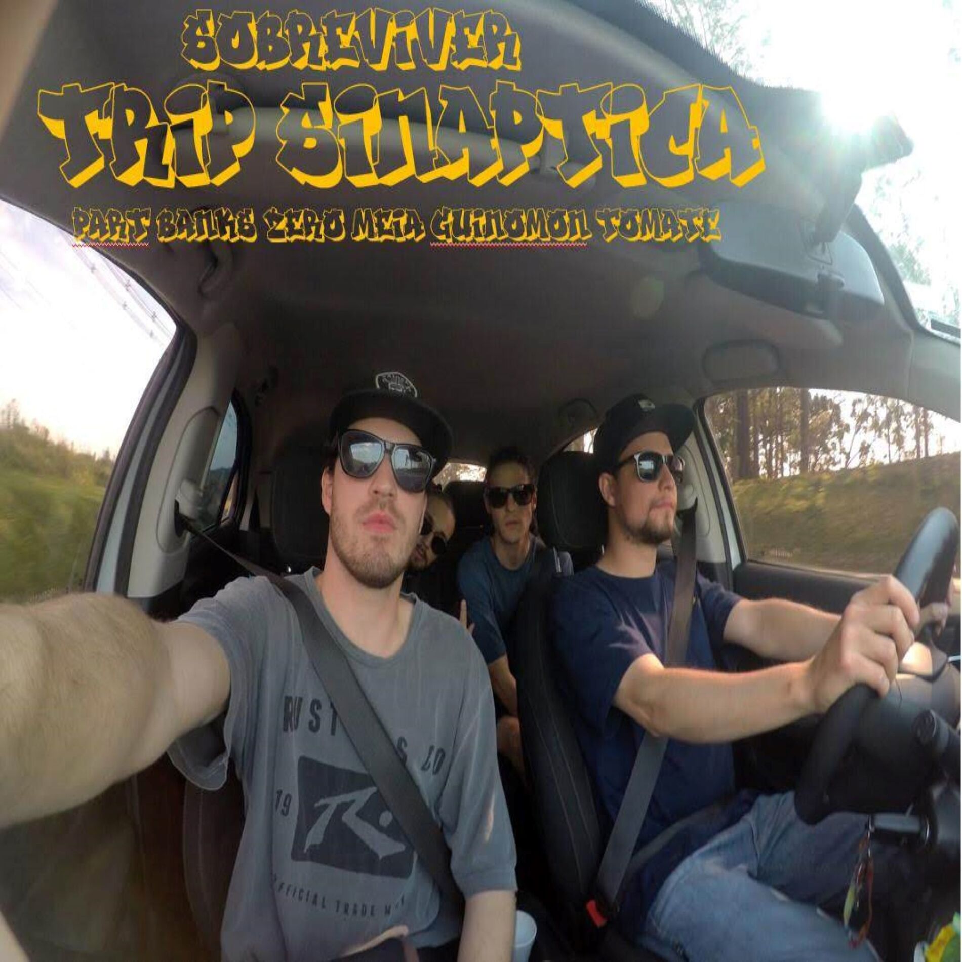 Album cover of Trip Sináptica
