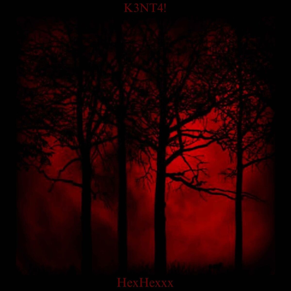 Album cover of Was It Ever Real..