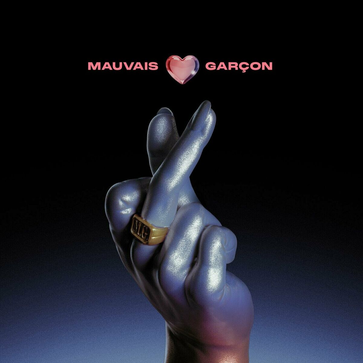 Album cover of Mauvais Garçon