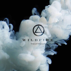 Cover of Wildfire