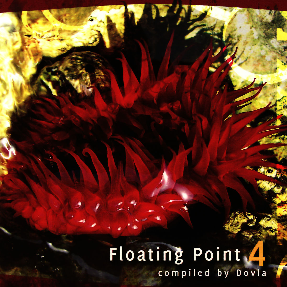 Album cover of Floating Point 4