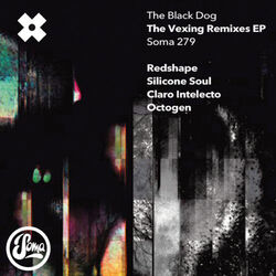 Cover of The Vexing Remixes