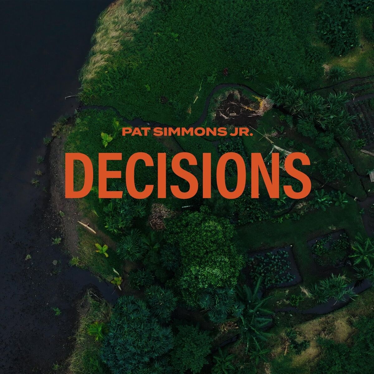 Album cover of Decisions