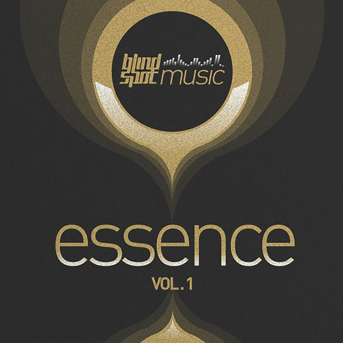 Album cover of Blind Spot Essence, Vol. 1