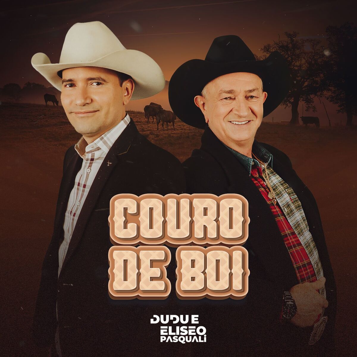 Album cover of Couro de Boi