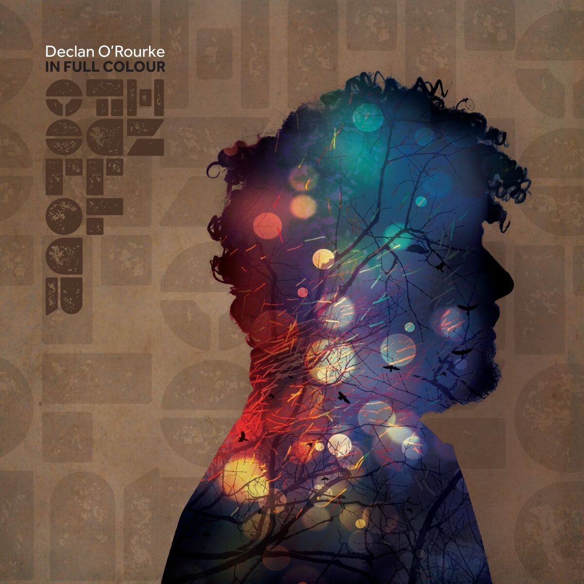 Album cover of Slíeve Bloom
