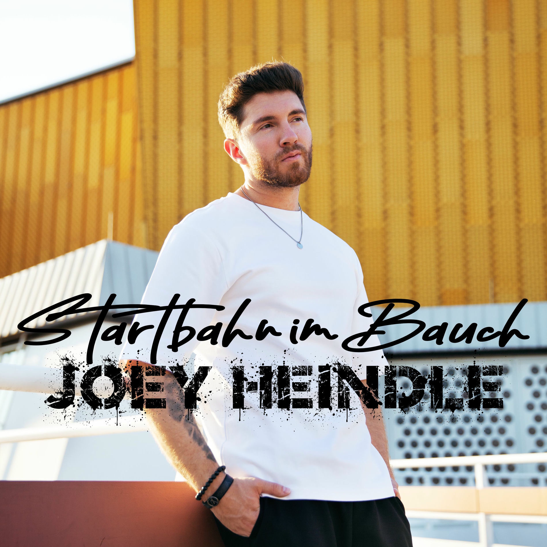Album cover of Startbahn im Bauch