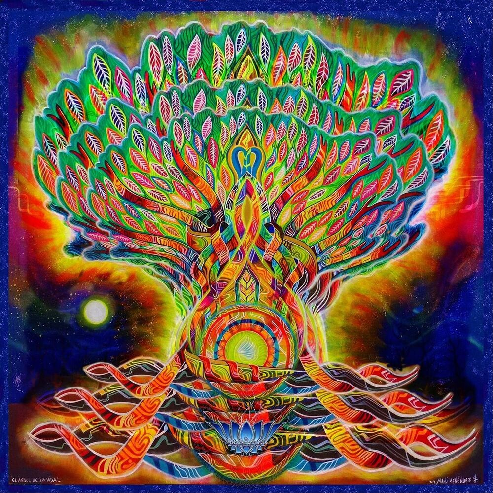 Picture of Seres De Luz