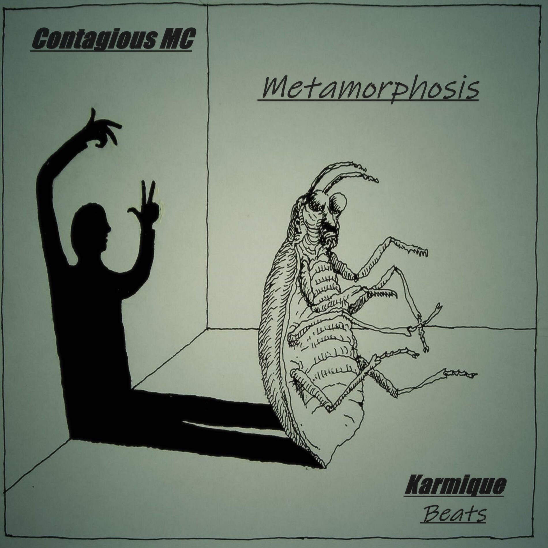 Album cover of Metamorphosis