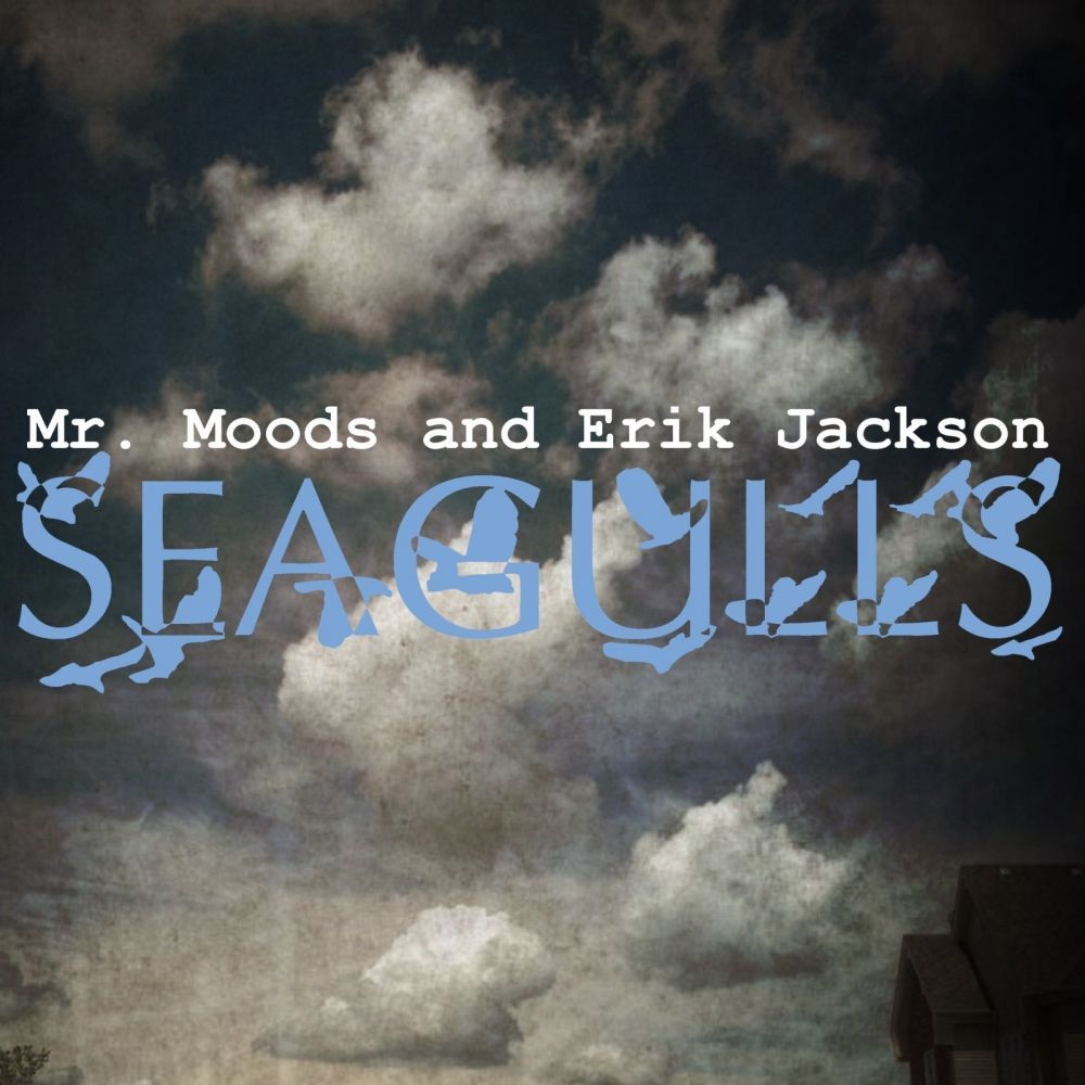 Picture of Seagulls