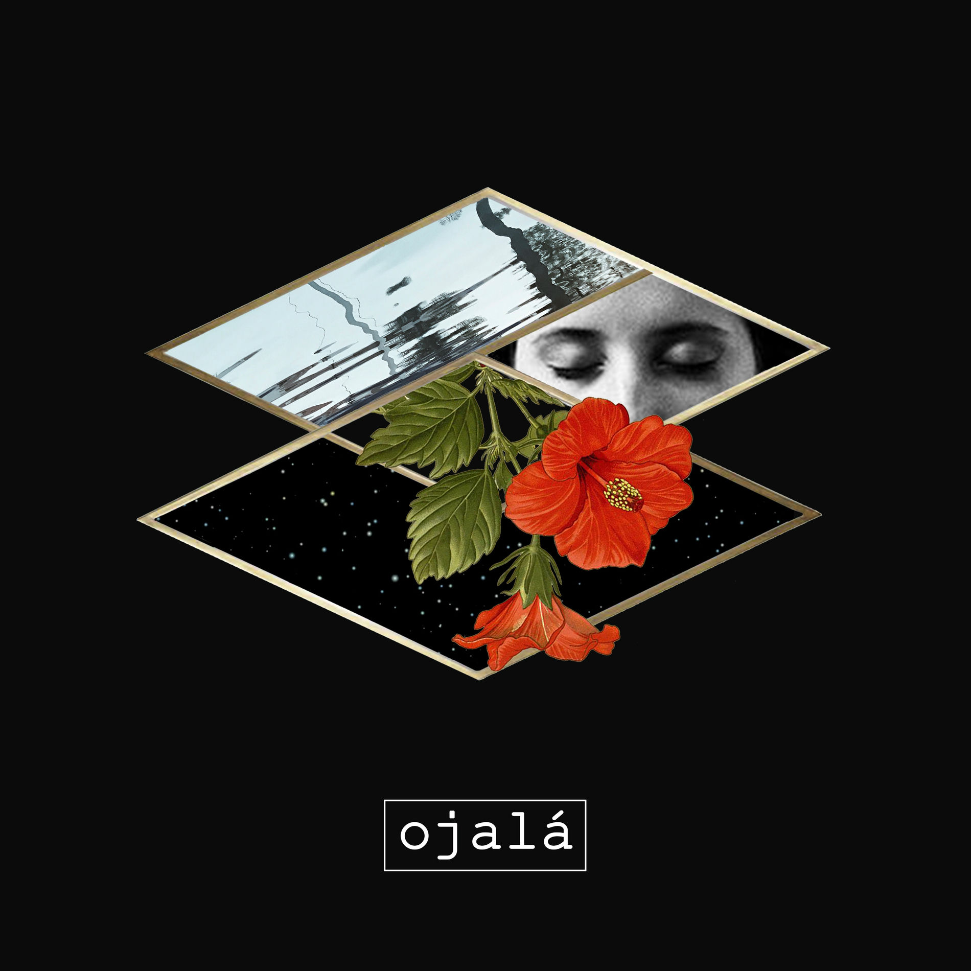 Album cover of Ojalá