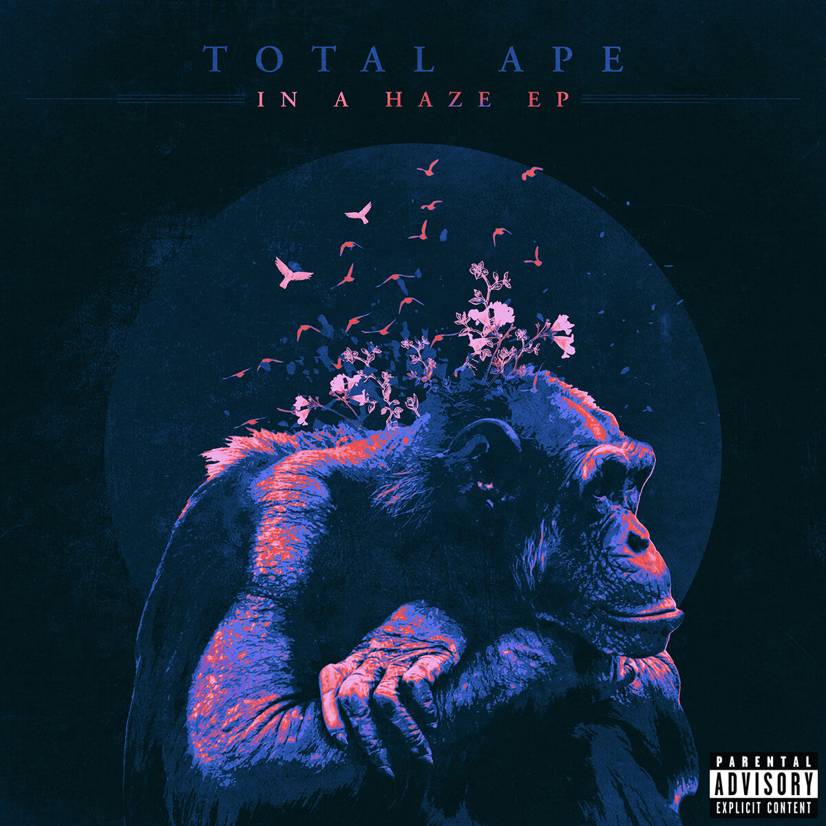 Album cover of In a Haze