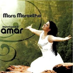 Cover of Importante É Amar