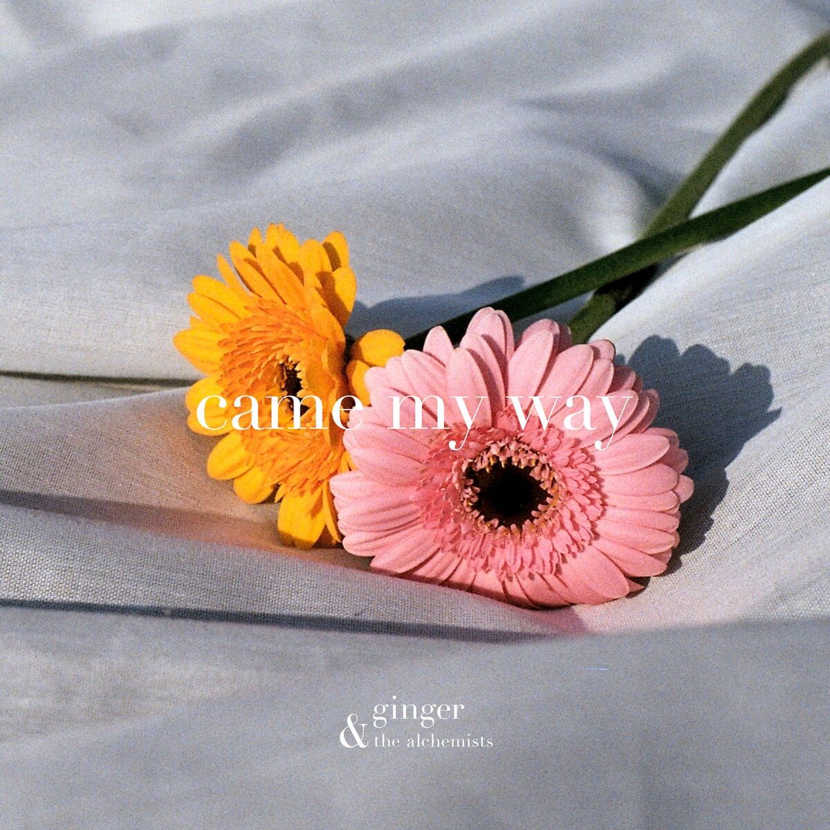 Album cover of came my way