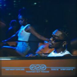 Cover of PASSENGER SEAT PRINCESS