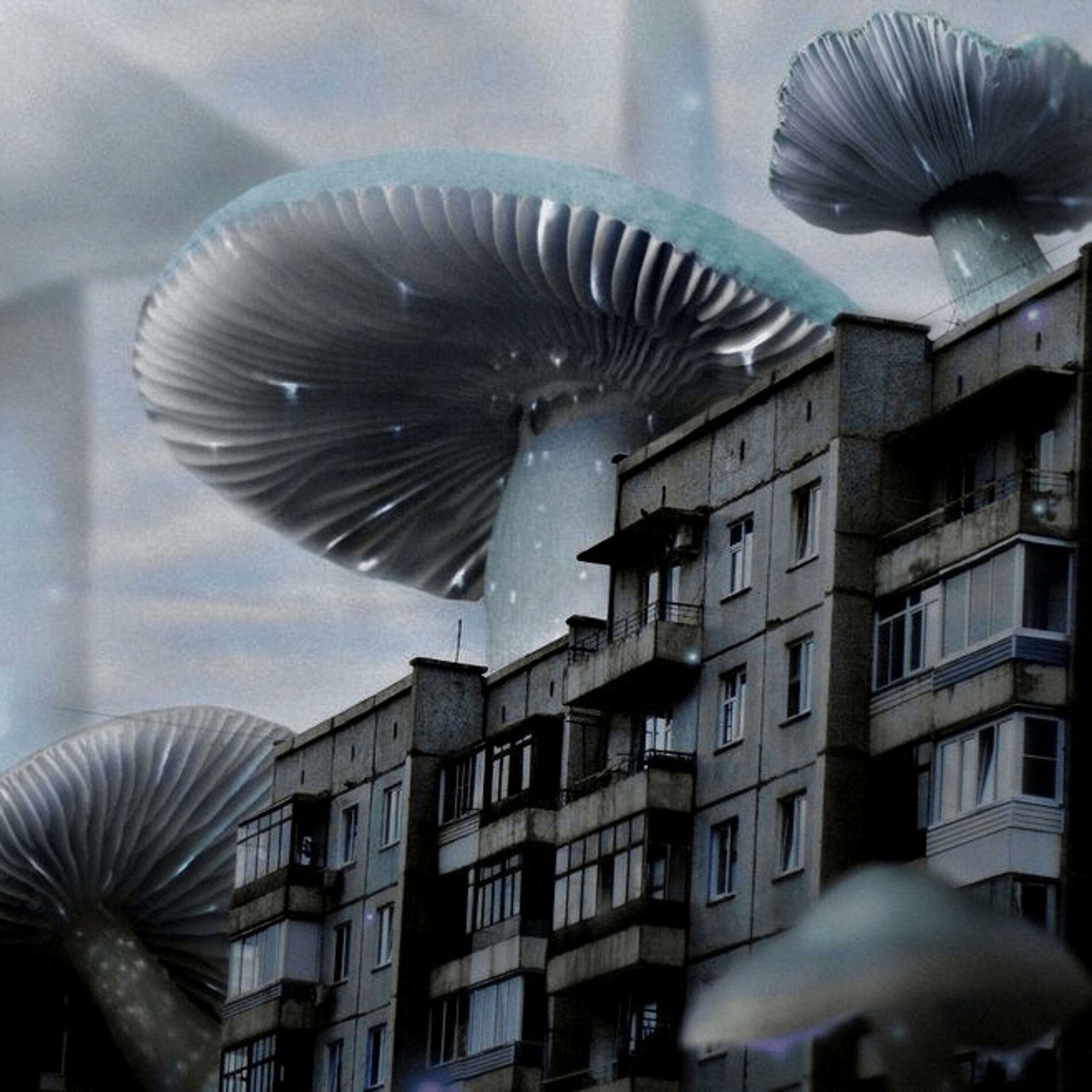 Album cover of digital psychosis