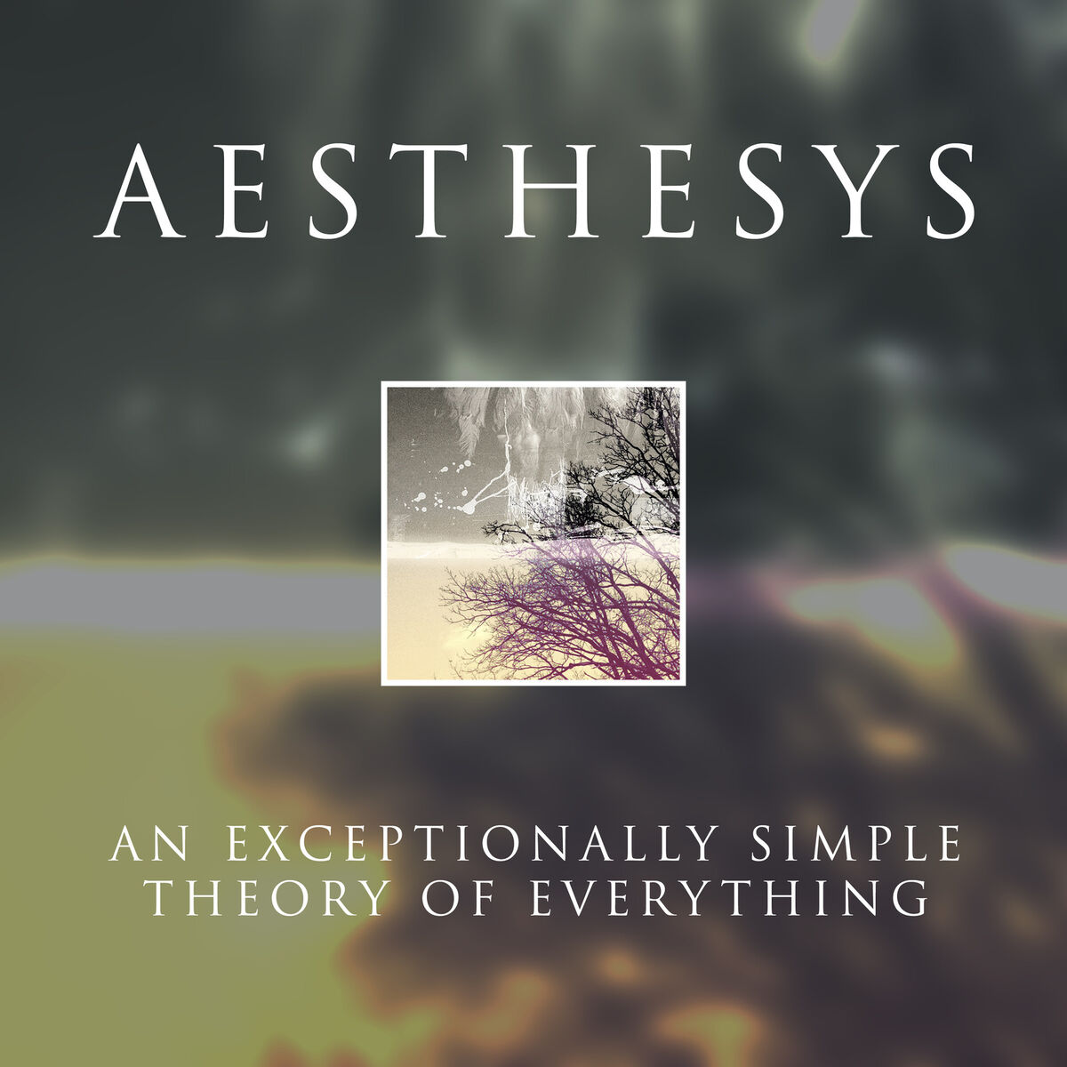 Album cover of An Exceptionally Simple Theory of Everything