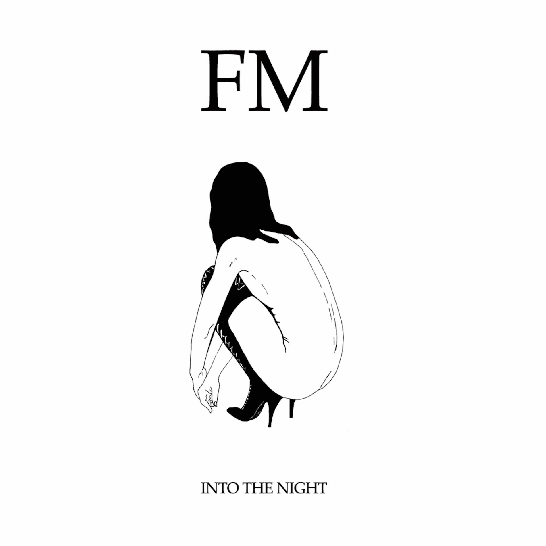 Album cover of Into the Night