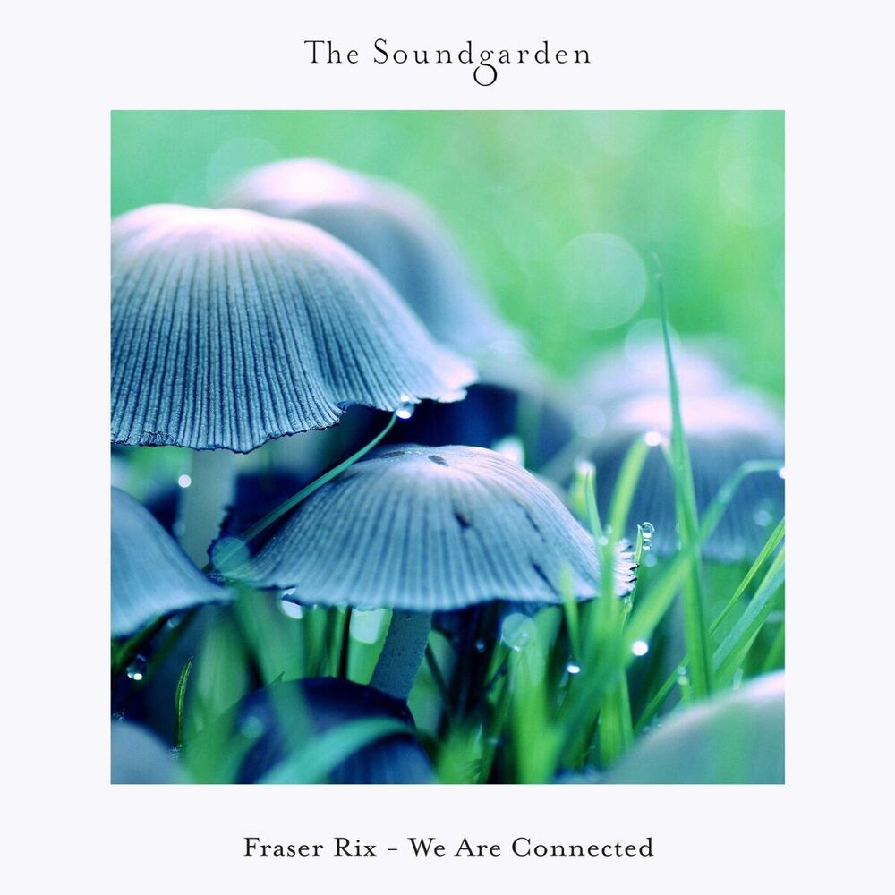 Picture of We Are Connected