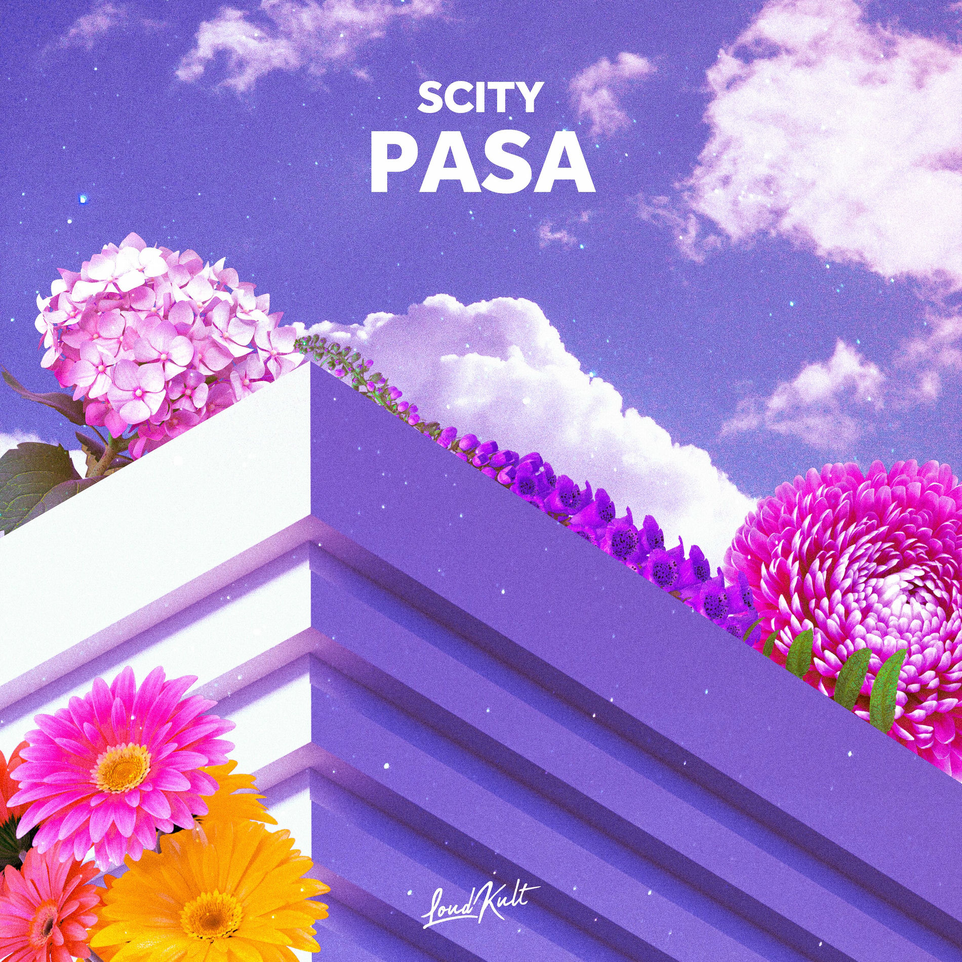 Album cover of Pasa