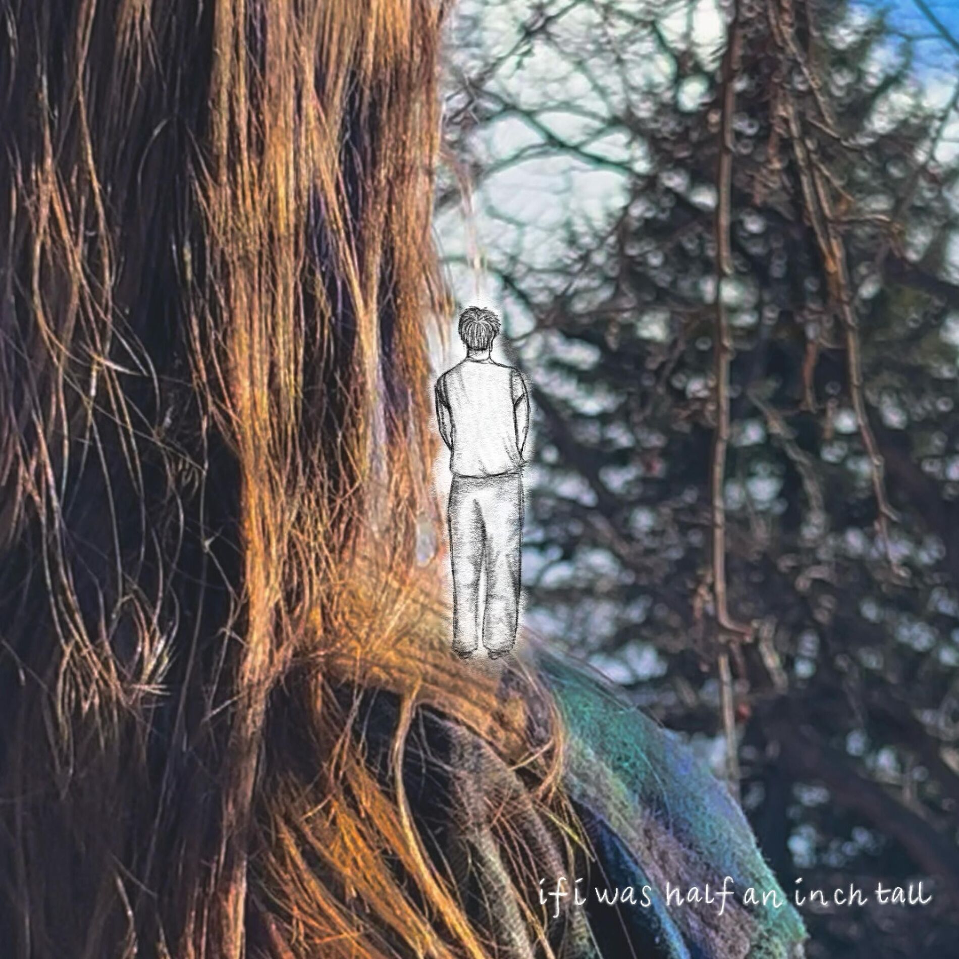 Album cover of if i was half an inch tall