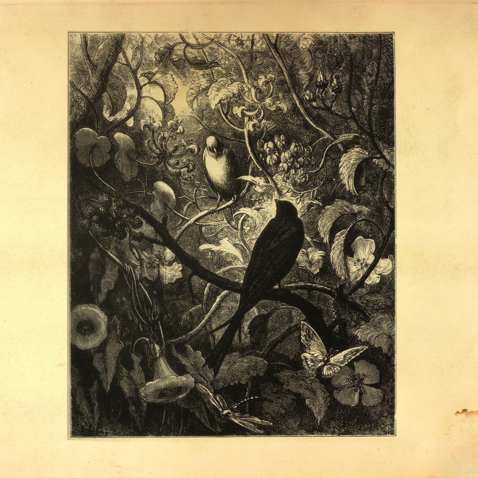 Album cover of Synchronize