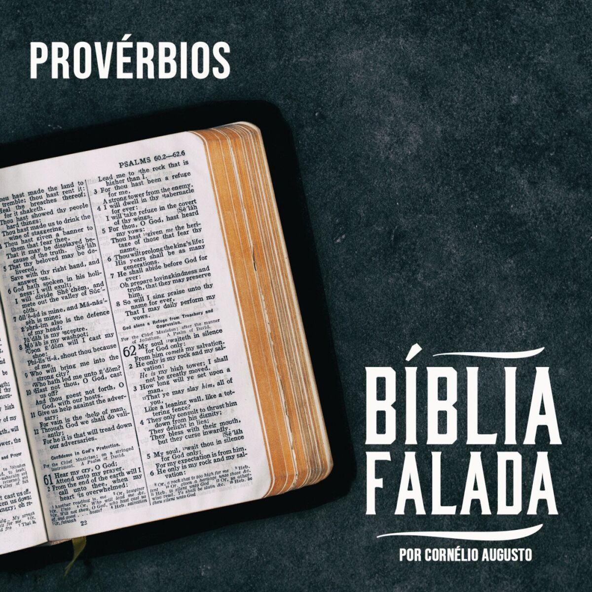 Album cover of Bíblia Falada: Provérbios