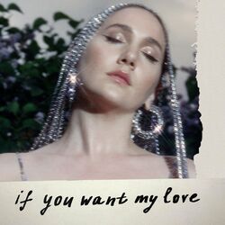 Cover of If You Want My Love