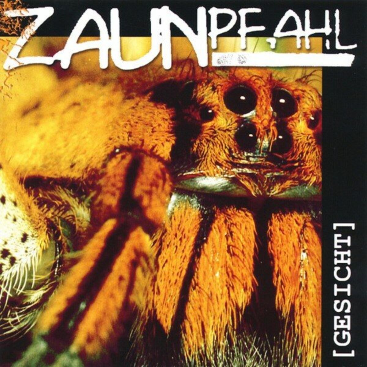 Album cover of Gesicht
