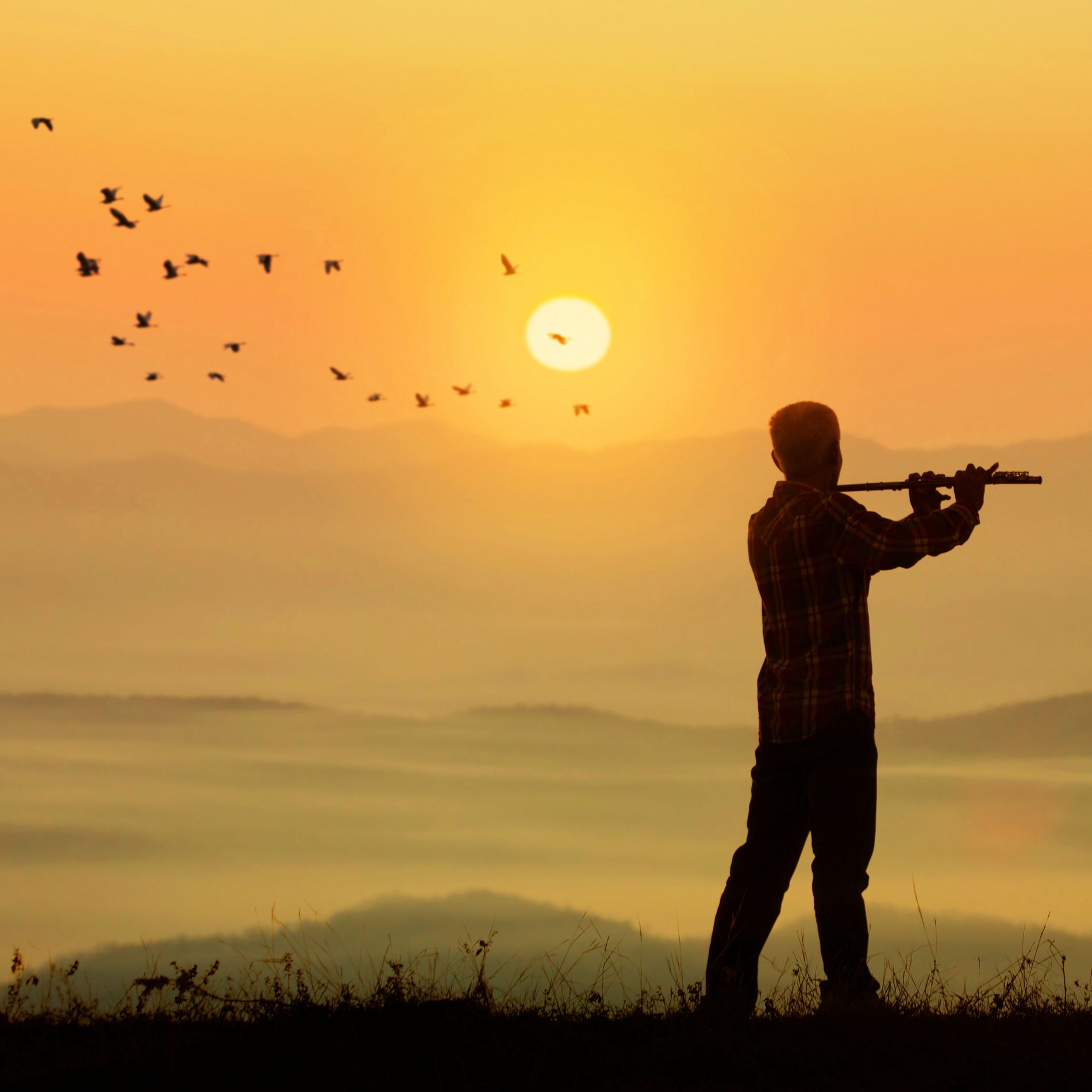 Album cover of Bir Tutam Flüt (Flute)